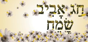 פסח באביב לניצולי השואה 2017